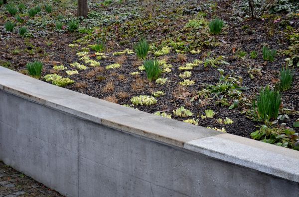 Concrete Wall Construction in Richardson