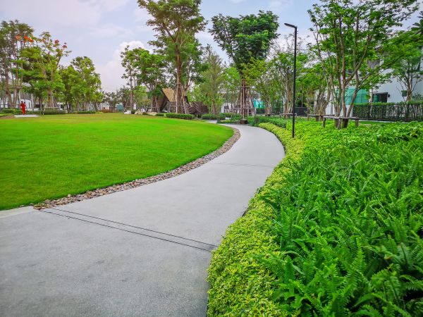 Cement Walkway Service in Richardson