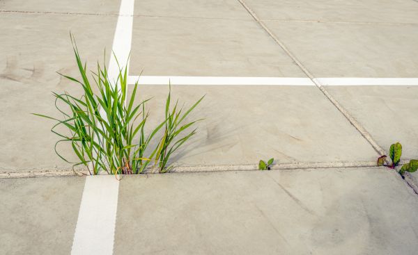 Concrete Parking Installation in Richardson