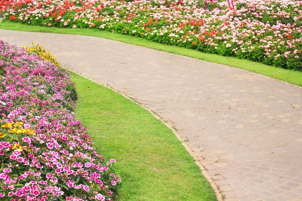 Concrete Walkway Service in Richardson