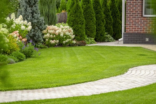 Landscape Walkway Installation in Richardson